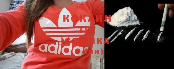 твердый Аркадак