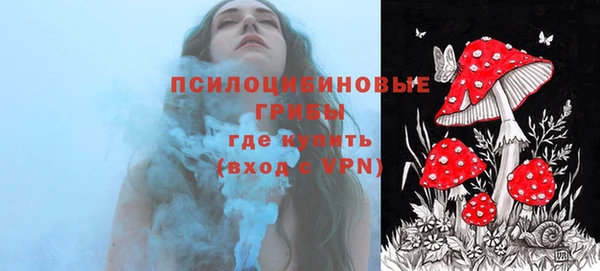 твердый Аркадак