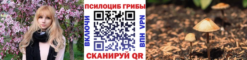 Галлюциногенные грибы мицелий МЕГА как войти дарк нет наркотические препараты купить закладку Сосенский